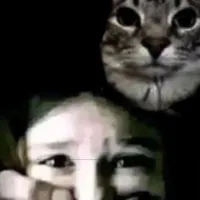 all-ai thì -