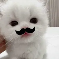 #𝘾𝙪𝙣𝙮𝙚𝙪