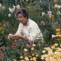 Eleanor Whitmore