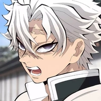 shinazugawa sanemi
