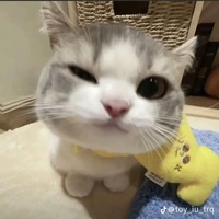 tg vừa trốn trại