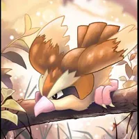 Pidgey