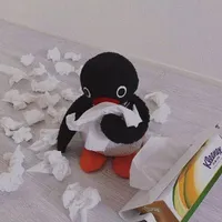 Nhìn cái Chos gì?
