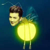 Mr đám
