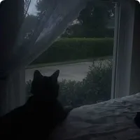 ???