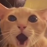 t/g si đa chế độ cũ