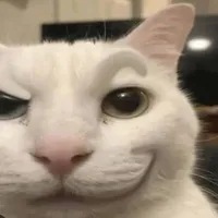 bác sĩ