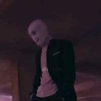 gaster