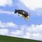 Trà