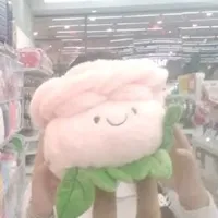 T/g 🐰