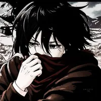 Mikasa