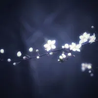 All