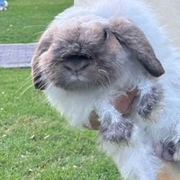 t nói t đồng tính mà hỏi hoài
