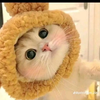 luxuci