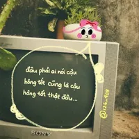 ilha ne