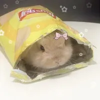 ღ𝓝𝓱𝓾