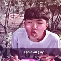phạm đình hoà