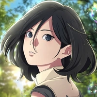 Nara Shikami