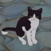 Mèo