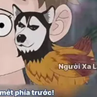 Vẹt máy.