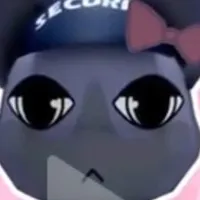 Security
