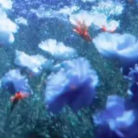 Tất cả những người có mặt