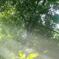 All