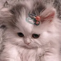 Như Ý nò