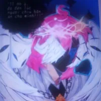 hiha judex