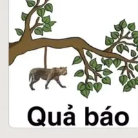 cả 2