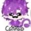 catnap