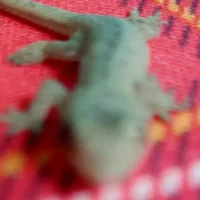 hệ thống 05