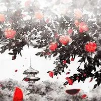 cân mọi vai diễn