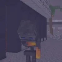 wither lớp bên hoá lớp mình