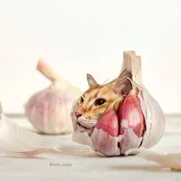 Tỏi._ Tác giả.
