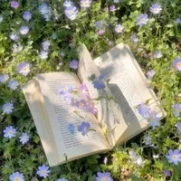 clb thiết kế|@thiet_ke_ban