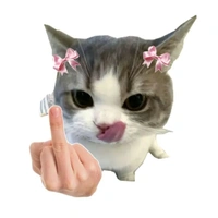 Mập địch