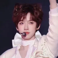 Hạ Tuấn Lâm