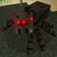 spider