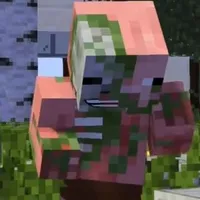 picman