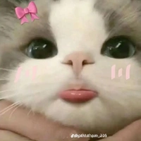 hệ thống 1