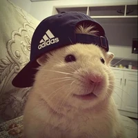 tác giả ~⁠♪