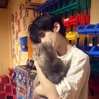 bảo huy