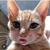 tác giảaa ^^