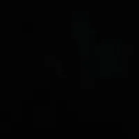 cả lớp 