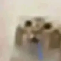 Bánh bao XD