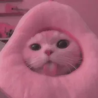 Pink_Cat🩷