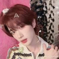 đinh trình hâm