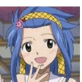 levy