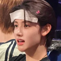 Chíp xinhh